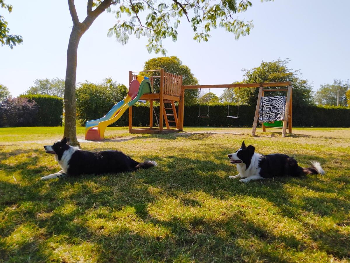 Il Girasole Country House Камерано Екстериор снимка
