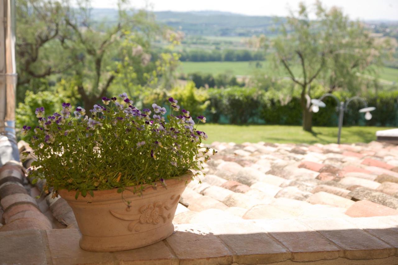 Il Girasole Country House Камерано Екстериор снимка